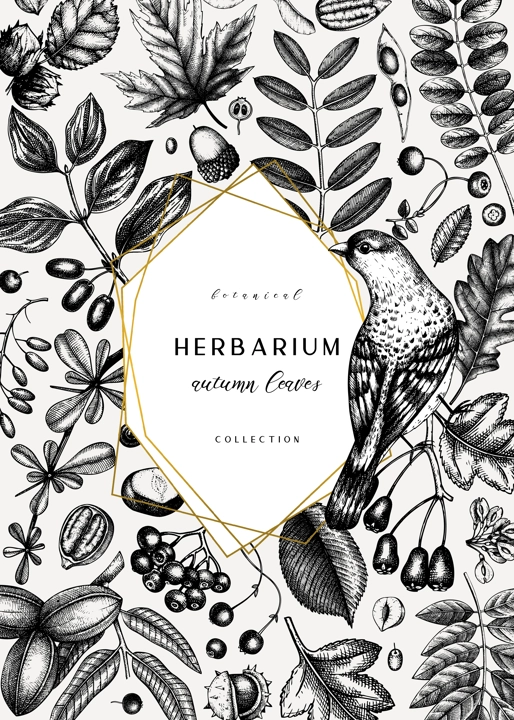 Hand sketched autumn card design. Elegant botanical template with autumn leaves, berries, seeds and bird sketches. Perfect for invitation, greeting cards, flyers, menu, label, packaging.